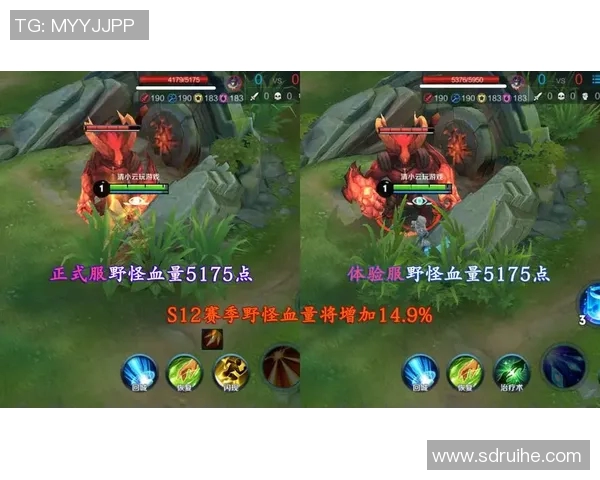 王者荣耀战术解析：WE战队的阵地战体系与战略布局探讨